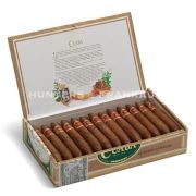 Cuaba Traditionales - Pack of 25